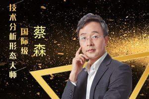 蔡森·2023年森财技术课程合集，森财技术基础 进阶 宏观 经典技术分析