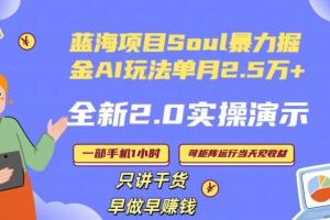 Soul单月变现25000 教程，全新2.0AI掘金玩法全程实操演示小白好上手（揭秘）