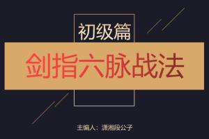 潇湘段公子·剑指六脉战法初级篇(百度网盘)