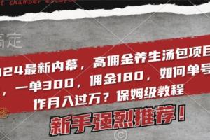 高佣金养生汤包赚钱项目解密,一单300,佣金180,单号操作月入过万保姆级教程(揭秘)
