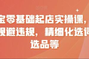 淘宝零基础起店课程，店铺规避违规，精细化选词及选品等