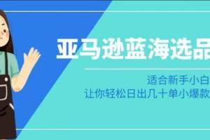 亚马逊蓝海选品课:适合新手小白卖家,让你轻松日出几十单小爆款产品