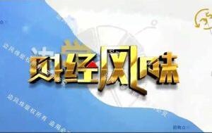 边风炜·财经风味：2024年边学边赚视频教程