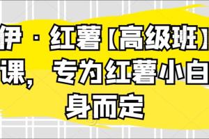 伊伊·小红书高级班运营课，专为红薯小白量身而定