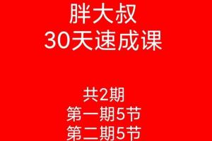 游资胖大叔·绝密炒股30天速成班课程（第一期 第二期）