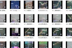 北京炒家直播视频合集