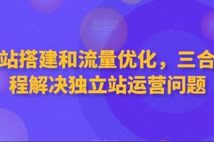 外贸独立站搭建 谷歌SEO教程，三合一课程解决独立站运营问题