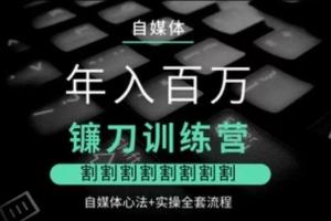 幻幻课堂·年入百万自媒体镰刀训练营（百度网盘）