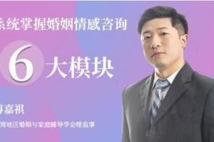 傅嘉祺·快速掌握婚姻情感咨询6大模块（52集）