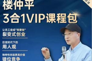 楼仲平三合一VIP课程（用人观 错位竞争 自主制创）