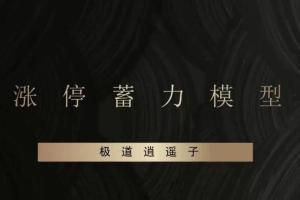 作手逍遥风股票系列课之爆点潜伏辅助课程