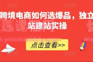 独立站跨境电商建站选品教程