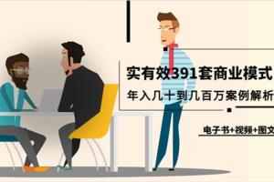391套各个商业模式解析,年入几十到几百万案例解析(电子书 视频 图文)