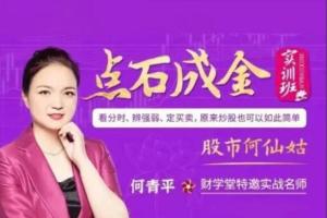 财学堂·股市何仙姑何青平点石成金系统课（20节）