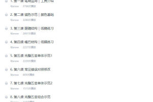 与snow·厚涂人像0基础入门课程（带笔刷）