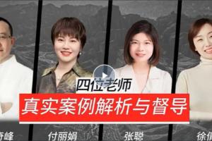 曾奇峰 付丽娟 张聪 徐倩：真实案例解析与督导心理视频课