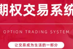 陈凯期权交易系统