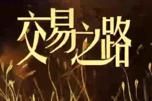 诸葛就是不亮·交易之路初中高级视频（百度网盘）
