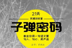 李炳池·21天子弹秘密训练营，21天学到顶尖文案大师的策略和技巧