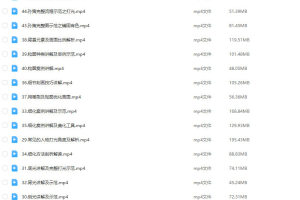 2023年日式伪厚涂基础系统课第3期：肉香菜炒的艺术