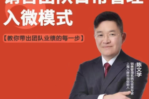 销售团队日常管理—陈文学的入微模式,助力你成为销售高手
