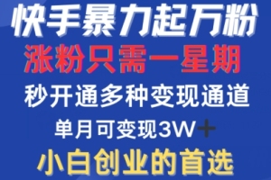 揭秘快手的粉丝暴涨秘密，一周内轻松涨粉，多种变现方式，快速达成万合，月入过W【项目解密】