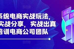 电商系统实战经验分享:31天实战揭秘,培训电商公司团队的成功之道