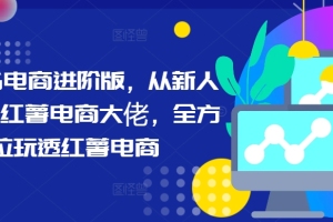 掌握小红薯电商的秘籍，从零到成为电商巨头的全面指南