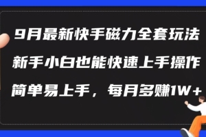 快手磁力玩法揭秘：轻松上手，月入过万，适合新手小白！