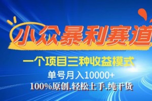 【老人言】-视频号爆火赛道，三种变现方式解析，0粉新号调调爆款【项目拆解】