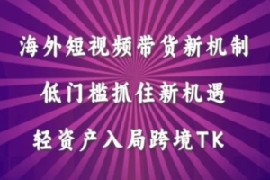 跨境电商平台Tiktok低成本带货新趋势，轻松把握海外市场机遇