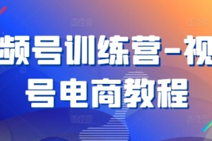 视频号电商实战指南-打造高效视频营销策略