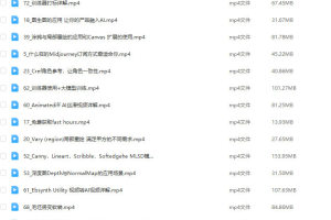 揭秘AI小王子Jay的AI绘画系统教学MJ SD的未来