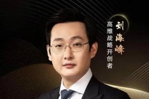 刘海峰：掌握高维战略的关键技巧（34节）