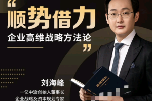 刘海峰：掌握顺势借力3.0，引领高维战略