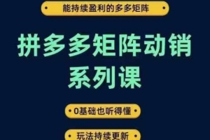 拼多多矩阵动销系列课，轻松盈利的多多矩阵，从零起步也能轻松掌握，全新玩法持续推陈出新