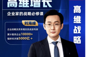 企业家的成功秘诀：刘海峰高维增长策略大揭秘