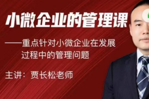 实战管理技巧：助力小微企业腾飞
