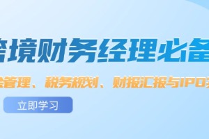 成为一名出色的跨境财务经理:掌握资金管理、税务规划、财报汇报与IPO实战的关键技巧