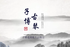 古琴大赛冠军子博老师授课：从零基础到师资，113节全面讲解