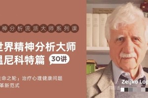 深入探索：温尼科特的精神分析学说【30堂视频课】