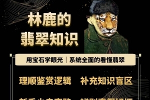 揭秘翡翠的奥秘，林鹿的宝石专家视角全面解析