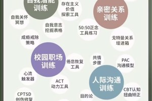 实用心理训练:达到心智成熟的30个关键步骤