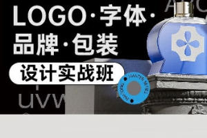 卢帅logo字体品牌包装设计实战班第五期实操经验分享