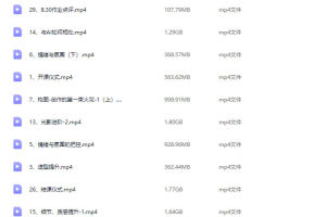 Gua老师高级培训课程2023