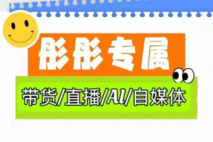 AI技术助力普通人打造个性化自媒体，实现AI图书博主的变现之路