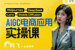 阿飞AIgc电商应用实操课(加更DeepSeek)保姆级喂饭教程,从0-1用AI做电商