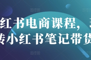 学习小红书笔记带货技巧,打造集合仓电商新风尚