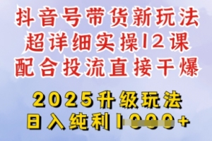 揭秘2025年全新抖音带货模式：纯利四位数的秘密操作步骤