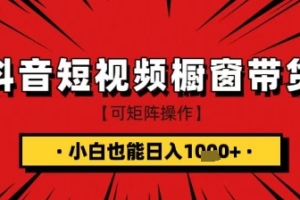 抖音短视频食品橱窗带货技巧，小白也能轻松赚1k！【实用指南】
